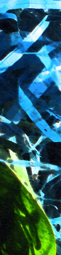 This is an image of some random blue tarp-type strips jumbled in a mass, reasting on some grass and leaves. It was then manipulated with photoshop's smudge stick filter.