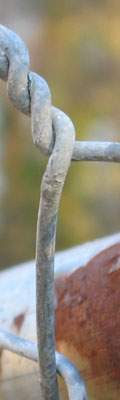 A twisted bit of wire from a chainlink fence with a bit of a rusty crossbar just behind it. An extremely blurry forest serves as the backdrop.