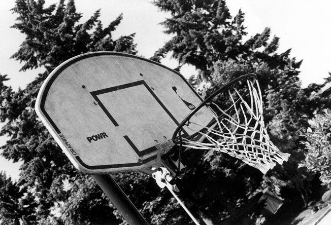 A basketball hoop with some trees and the sky in the background