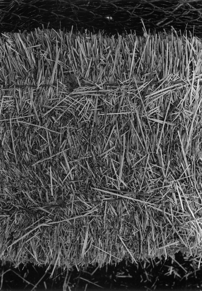 A random bale of hay near the sports fields of my highschool