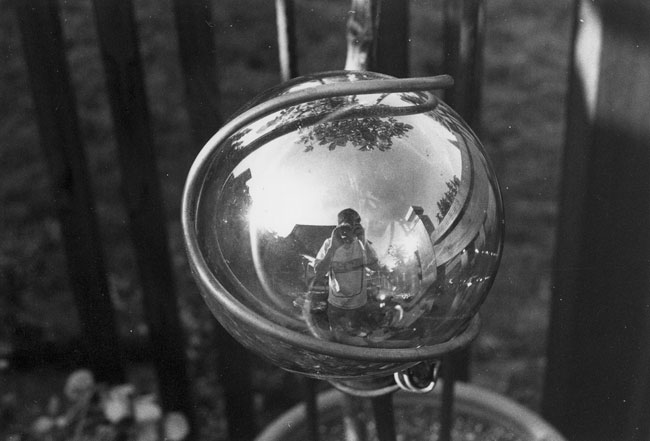 A reflective sphere thing that is decorating a large, potted plant