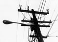 A dark telephone pole combined with a streetlamp against an overcast sky